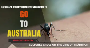Traveling to Australia from Brazil: Yellow Fever Vaccination Requirements Explained