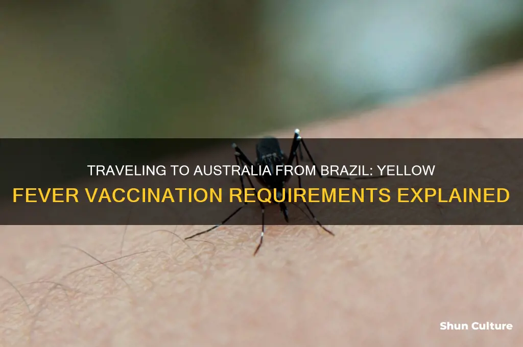 does brazil require yellow fever vaccination to go to australia