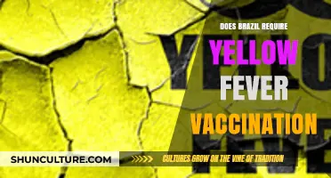 Traveling to Brazil? Yellow Fever Vaccination Requirements Explained