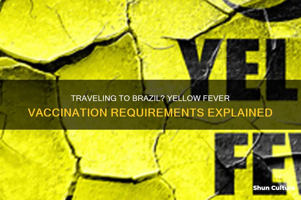 does brazil require yellow fever vaccination