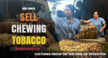 Does Brazil Sell Chewing Tobacco? Exploring Availability and Regulations