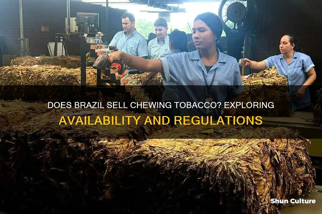does brazil sell chewing tobacco