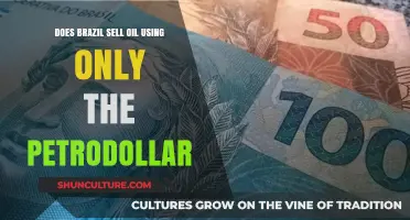 Brazil's Oil Trade: Petrodollar Dominance or Diversified Currency Strategy?