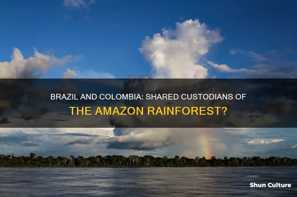 does brazil share the amazon with colombia