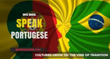 Does Brazil Speak Portuguese? Unraveling the Language of a Nation