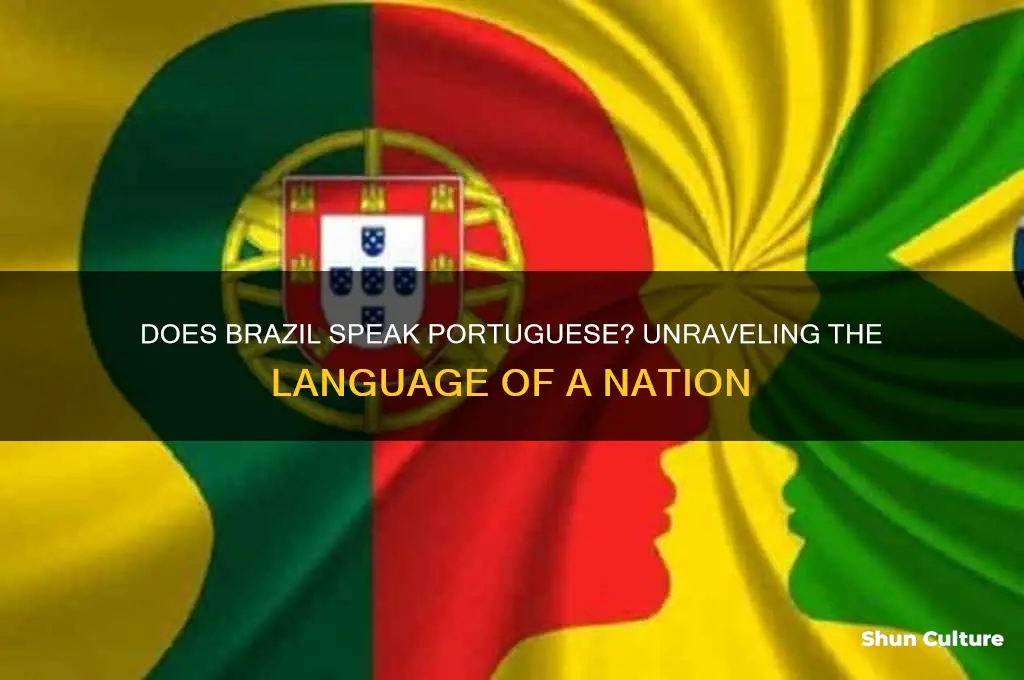 does brazil speak portugese