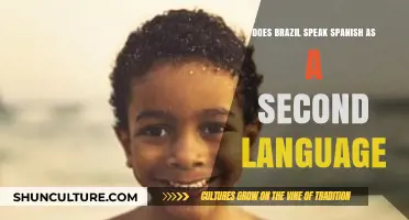 Does Brazil Speak Spanish? Unraveling Language Myths in South America