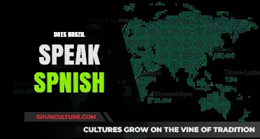Does Brazil Speak Spanish? Unraveling the Language Myth in South America