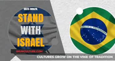 Brazil's Stance on Israel: A Complex Diplomatic Relationship Explored
