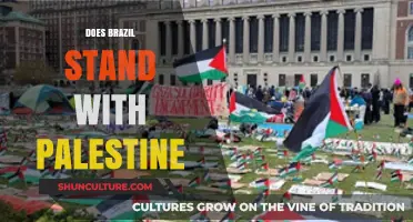 Brazil's Stance on Palestine: Solidarity, Diplomacy, and Global Implications