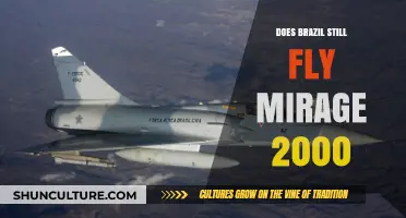 Brazil's Mirage 2000: Still in Service or Retired?