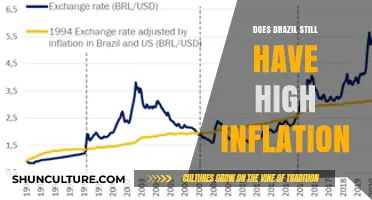 Brazil's Inflation: Current Trends and Economic Outlook Explained