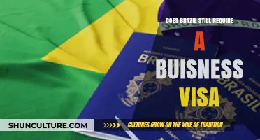 Brazil Business Visa Requirements: What You Need to Know Now