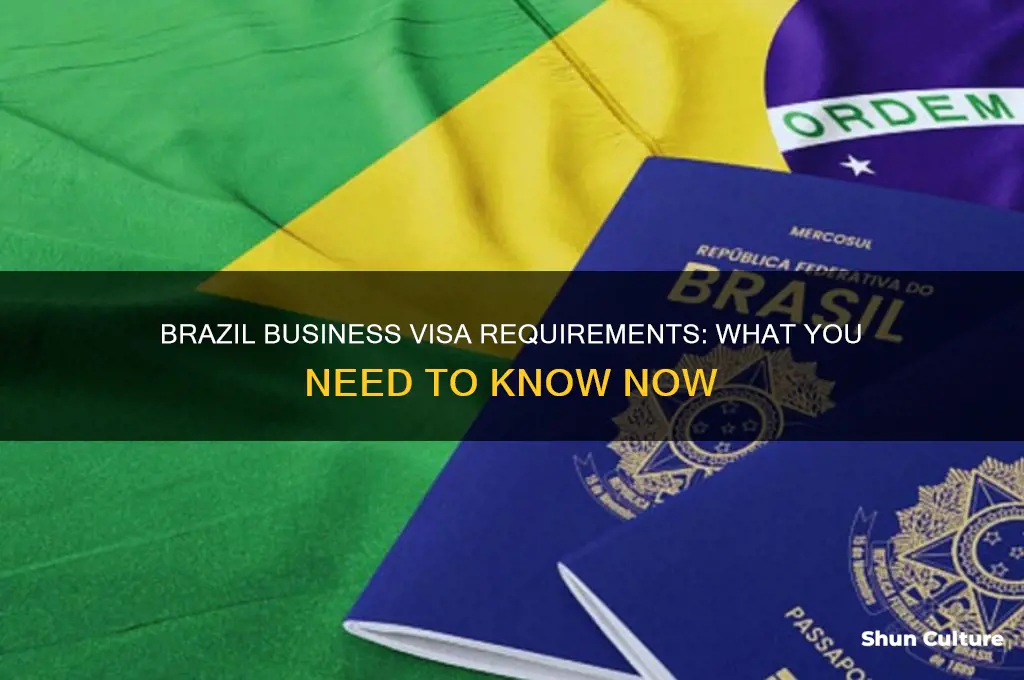 does brazil still require a buisness visa