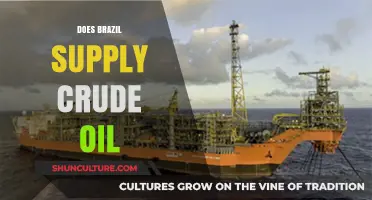 Brazil's Role in Global Crude Oil Supply: Facts and Insights