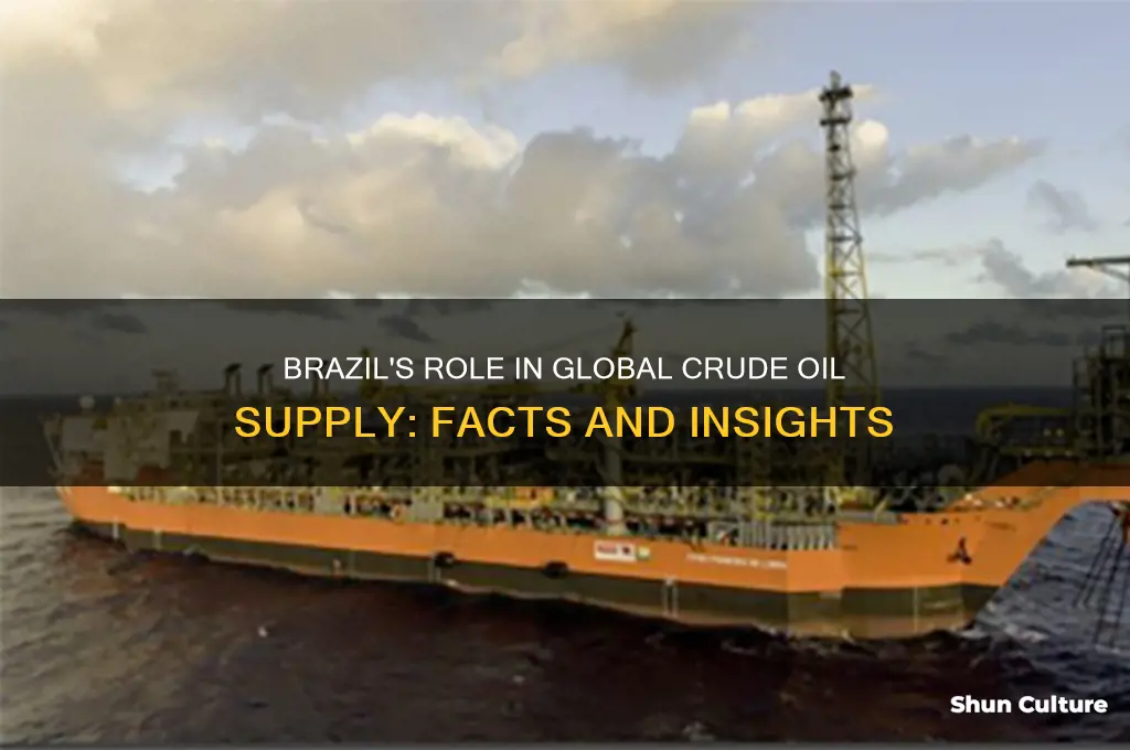does brazil supply crude oil