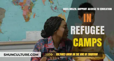 Brazil's Role in Providing Education for Refugees in Camps