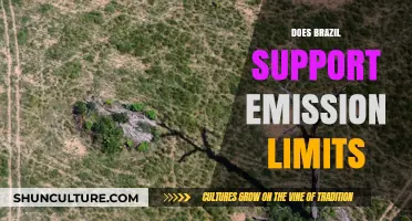 Brazil's Stance on Emission Limits: Policies, Progress, and Challenges