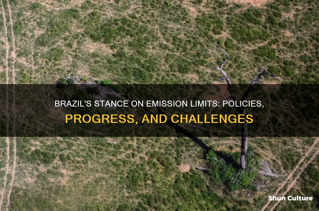 does brazil support emission limits