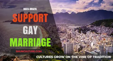 Brazil's Stance on Gay Marriage: Legal Recognition and Social Acceptance