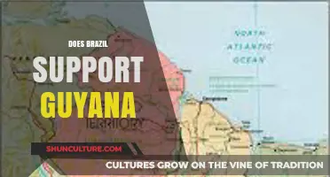 Brazil-Guyana Relations: A Look at Brazil's Support for Guyana's Development