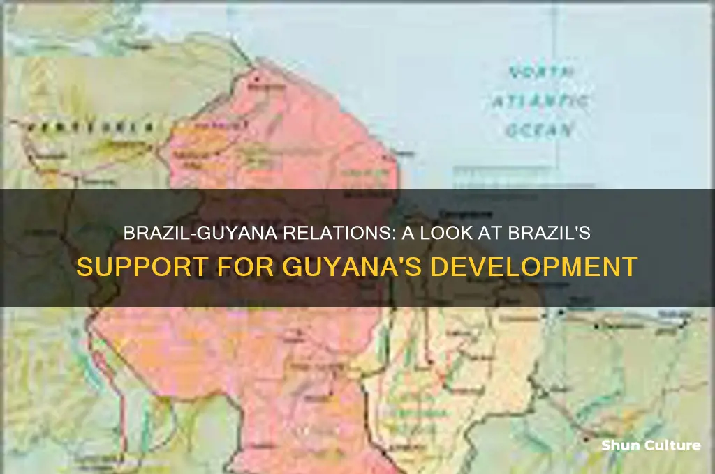 does brazil support guyana