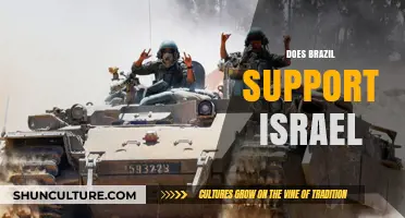 Brazil's Stance on Israel: A Complex Diplomatic Relationship Explored