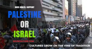 Brazil's Stance: Palestine or Israel in the Middle East Conflict?