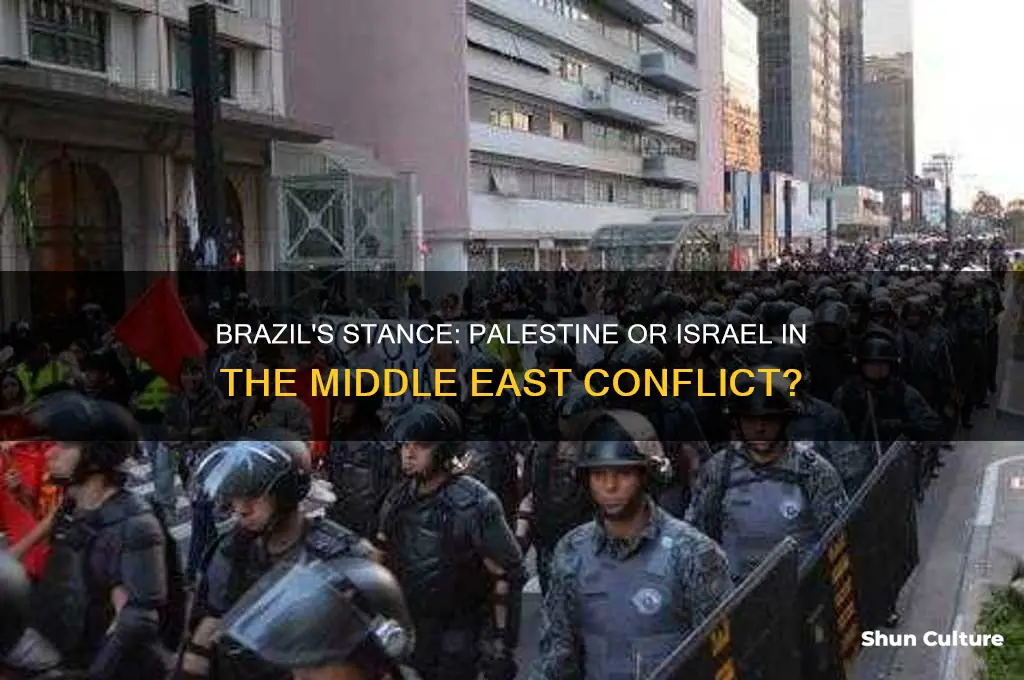 does brazil support palestine or israel