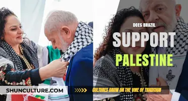 Brazil's Stance on Palestine: Diplomatic Relations and Solidarity Explored
