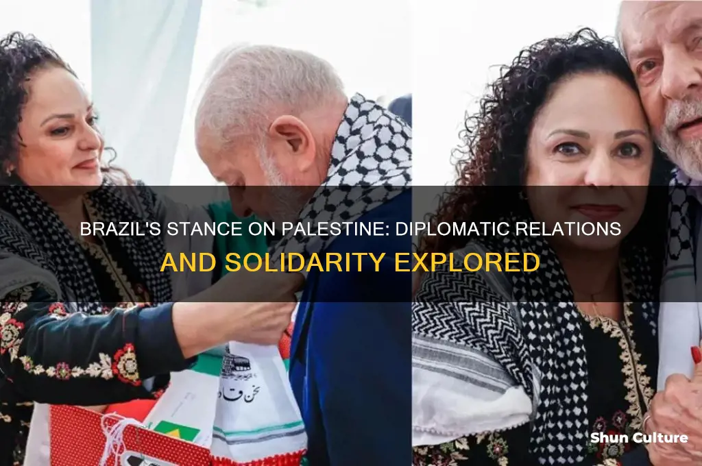 does brazil support palestine