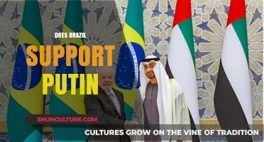 Brazil's Stance on Putin: Neutrality or Strategic Support?