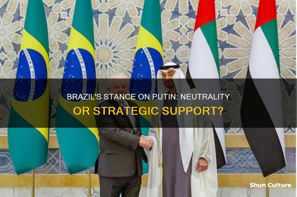 does brazil support putin