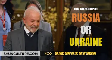 Brazil's Stance: Supporting Russia or Ukraine Amid Global Tensions?