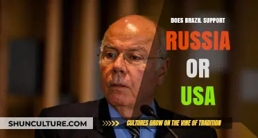 Brazil's Foreign Policy: Navigating Between Russia and the USA