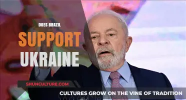 Brazil's Stance on Ukraine: Support, Neutrality, or Strategic Ambiguity?