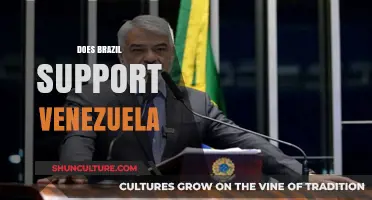 Brazil's Stance on Venezuela: Support, Neutrality, or Strategic Distance?