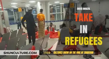 Brazil's Refugee Policy: A Haven or Limited Welcome?