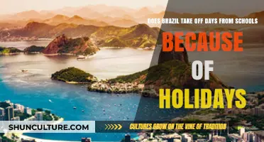 Brazil's School Holidays: Understanding Scheduled Breaks and Cultural Celebrations