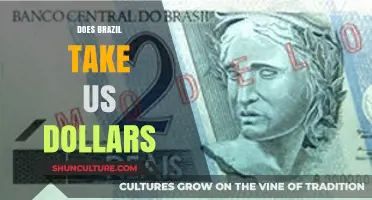 Does Brazil Accept US Dollars? Currency Tips for Travelers