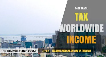 Brazil's Worldwide Income Tax: What Expats and Residents Need to Know