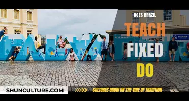 Does Brazil Teach Fixed Do? Exploring Musical Education in Brazil