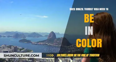 Brazil Tourist Visa: Color Requirement Explained for Travelers