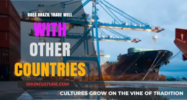 Brazil's Global Trade Performance: Strengths, Challenges, and Opportunities