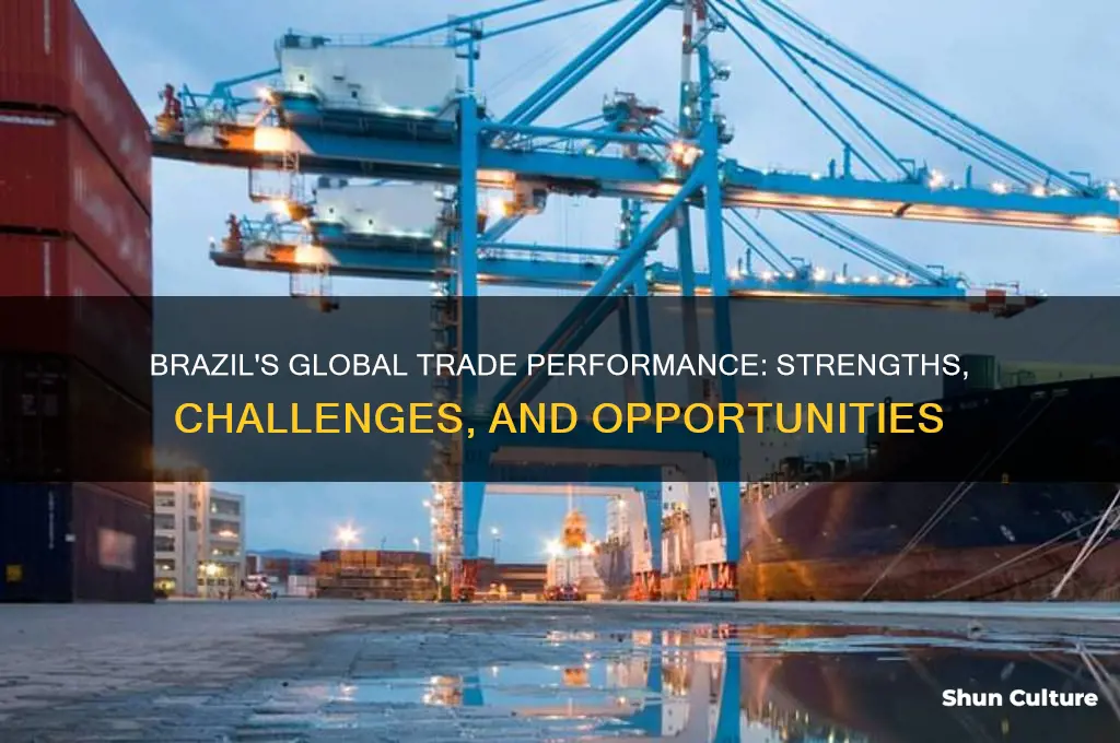 does brazil trade well with other countries