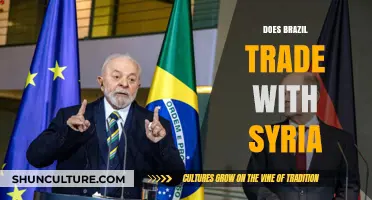 Brazil-Syria Trade Relations: Exploring Economic Ties and Global Implications