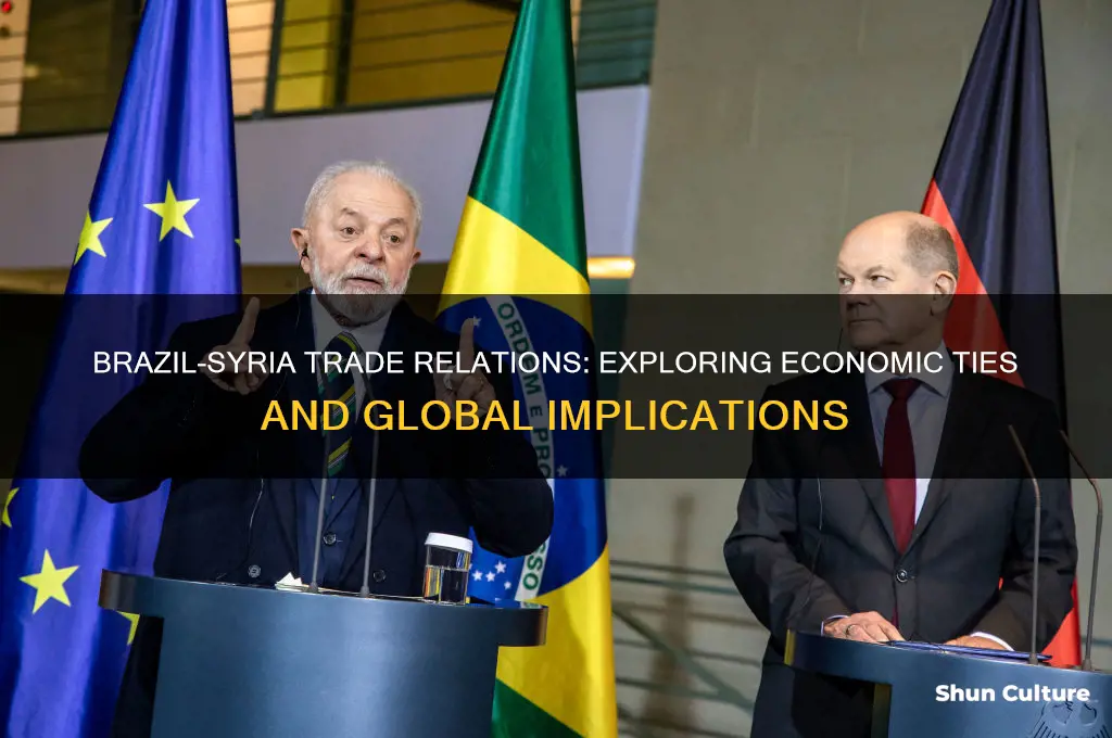 does brazil trade with syria