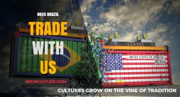 Brazil-US Trade Relations: Exploring Economic Ties and Partnerships