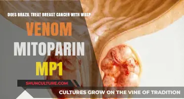 Brazil's Innovative Breast Cancer Treatment: Wasp Venom Mitoparin MP1 Explored