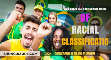 Brazil's Racial Classification: A Categorical Model or Fluid Identity?